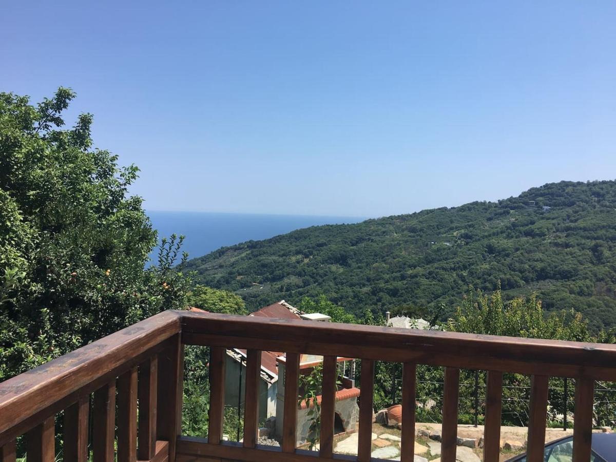 فيلا Zoes House Makrirrákhi المظهر الخارجي الصورة